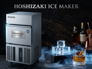 Commercial Hoshizaki Ice Maker by Citywide Appliance Repairs